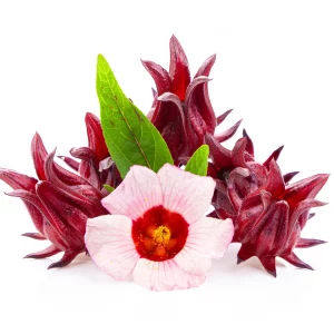 Hibiscus Flower Crystalized