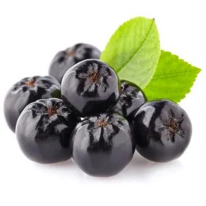 Aronia Dried (no sugar added)