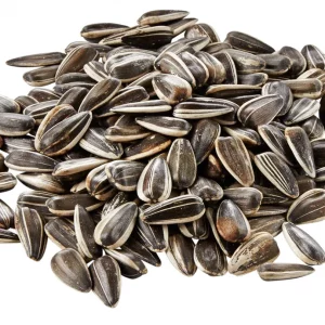 Sunflower Seeds Raw